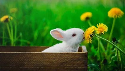 开云体育官网-英超-B费两助攻卡塞米罗进球 曼联战胜阿斯顿维拉